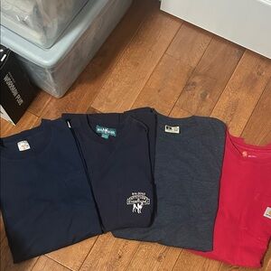 Bundle: Carhartt, Russell Athletics, Dickies, & Big Dog Men’s short sleeveshirts